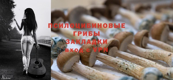 ешки Абдулино