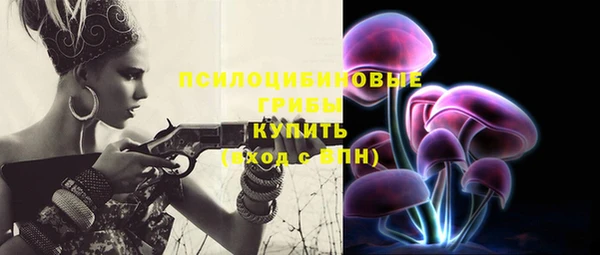 ешки Абинск