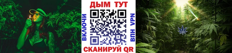 Шишки марихуана сатива  Нелидово 